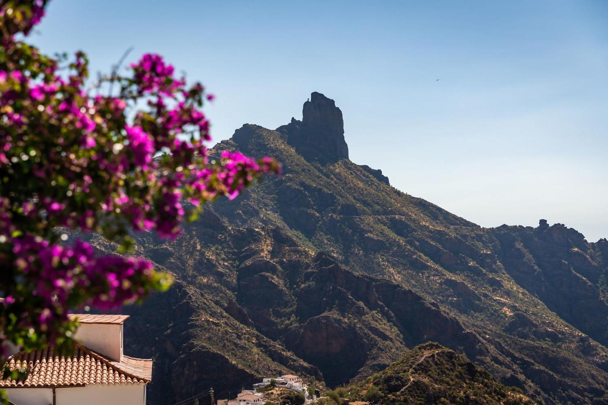 Macaronesia Lpa Suites Las Palmas de Gran Canaria Eksteriør billede